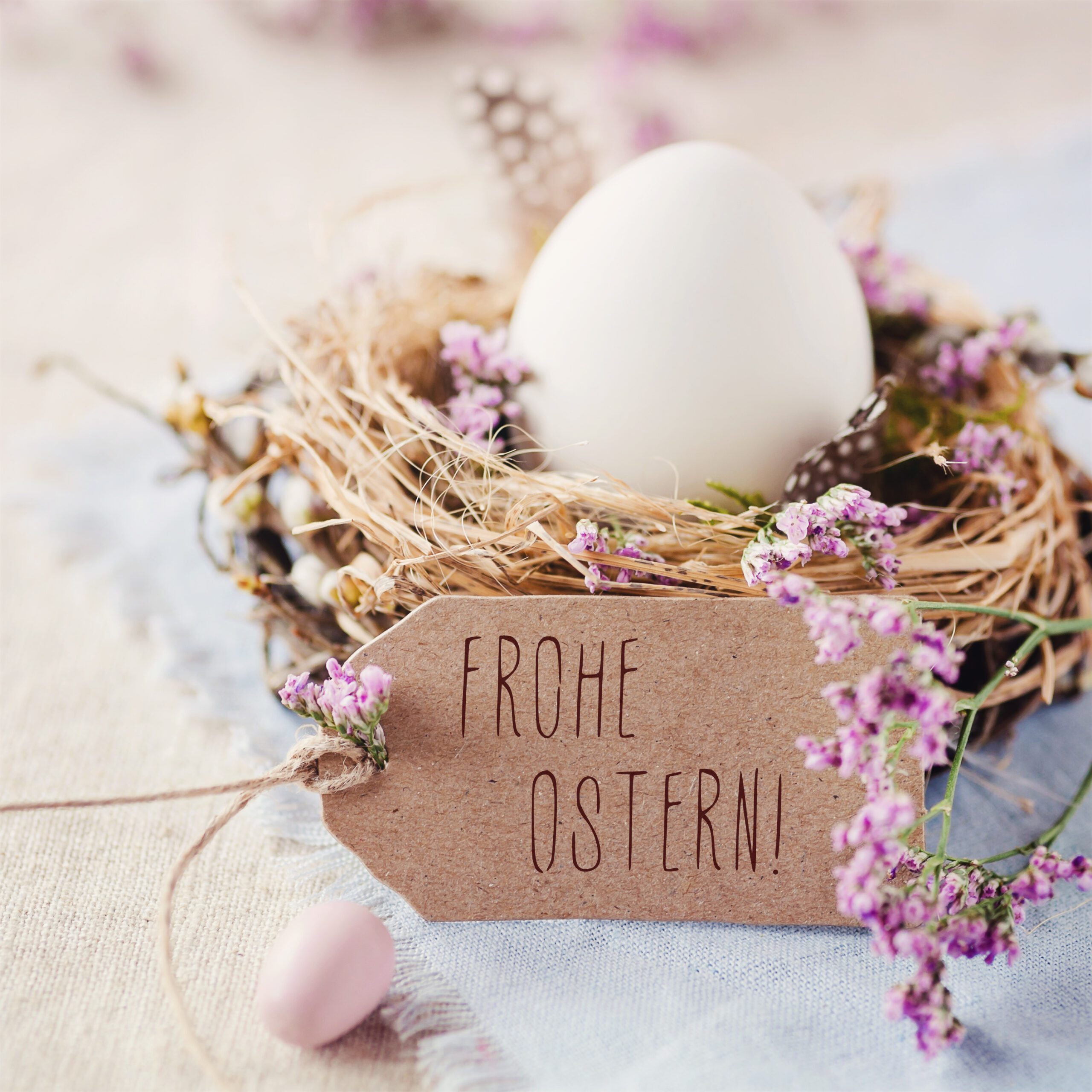 Osterwochen (21.03.–04.04.) 🐣